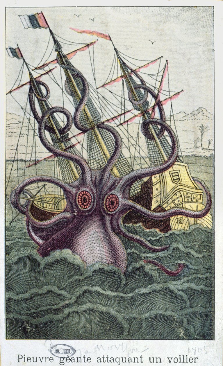 Giant Octopus, kuva Denys-Montfortin nilviäisten yleisestä ja erityisestä luonnonhistoriasta, n. 1802-03 tekijältä French School