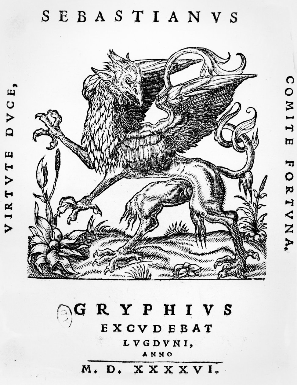 Sebastianus Gryphiuksen Griffin-painon tunnus, Lyon, 1546 tekijältä French School