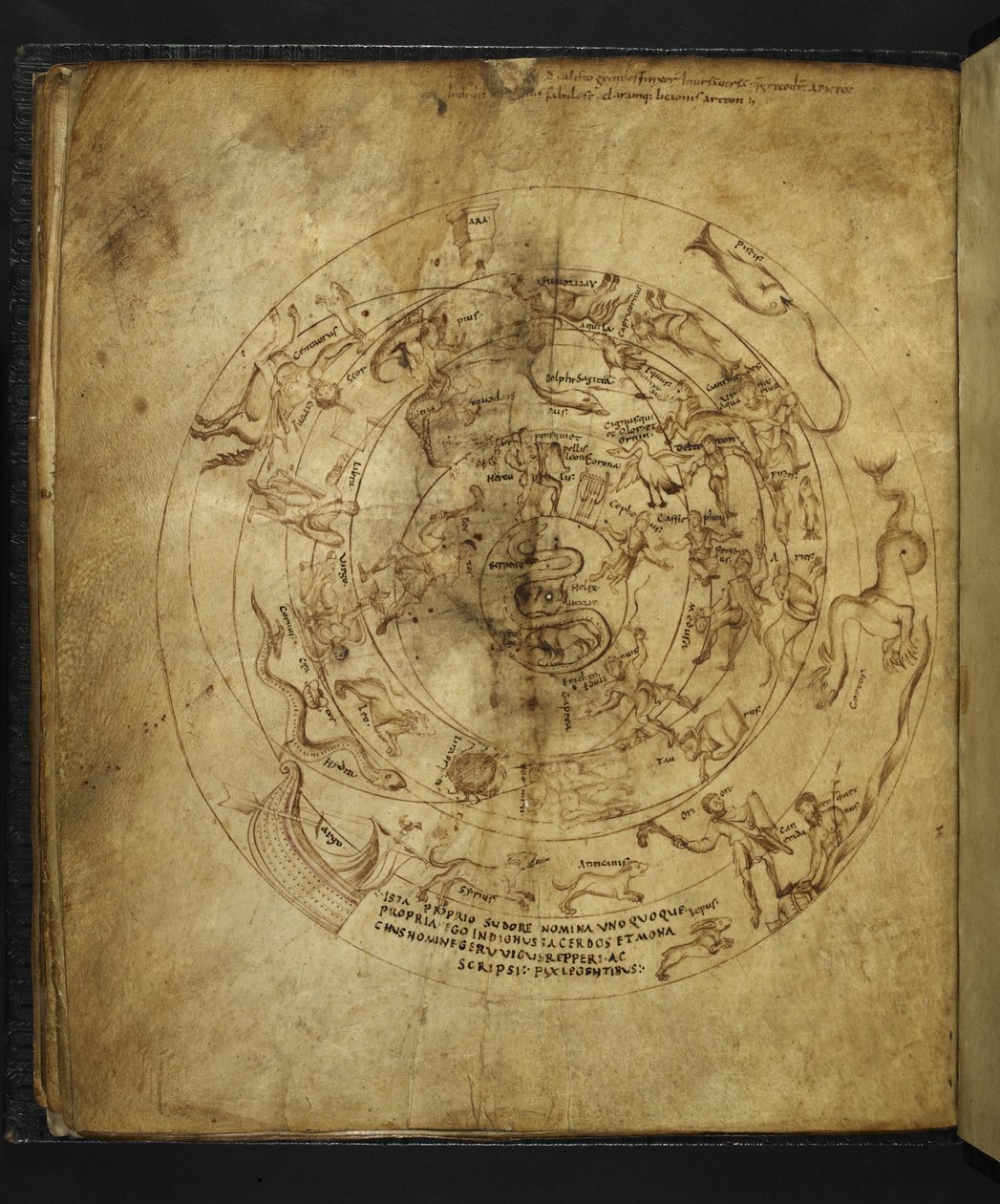 Harley 647 f.21v Kaavio pohjoisesta ja eteläisestä pallonpuoliskosta, Marcus Tullius Ciceron (vellum) teoksesta Aratus. tekijältä French School