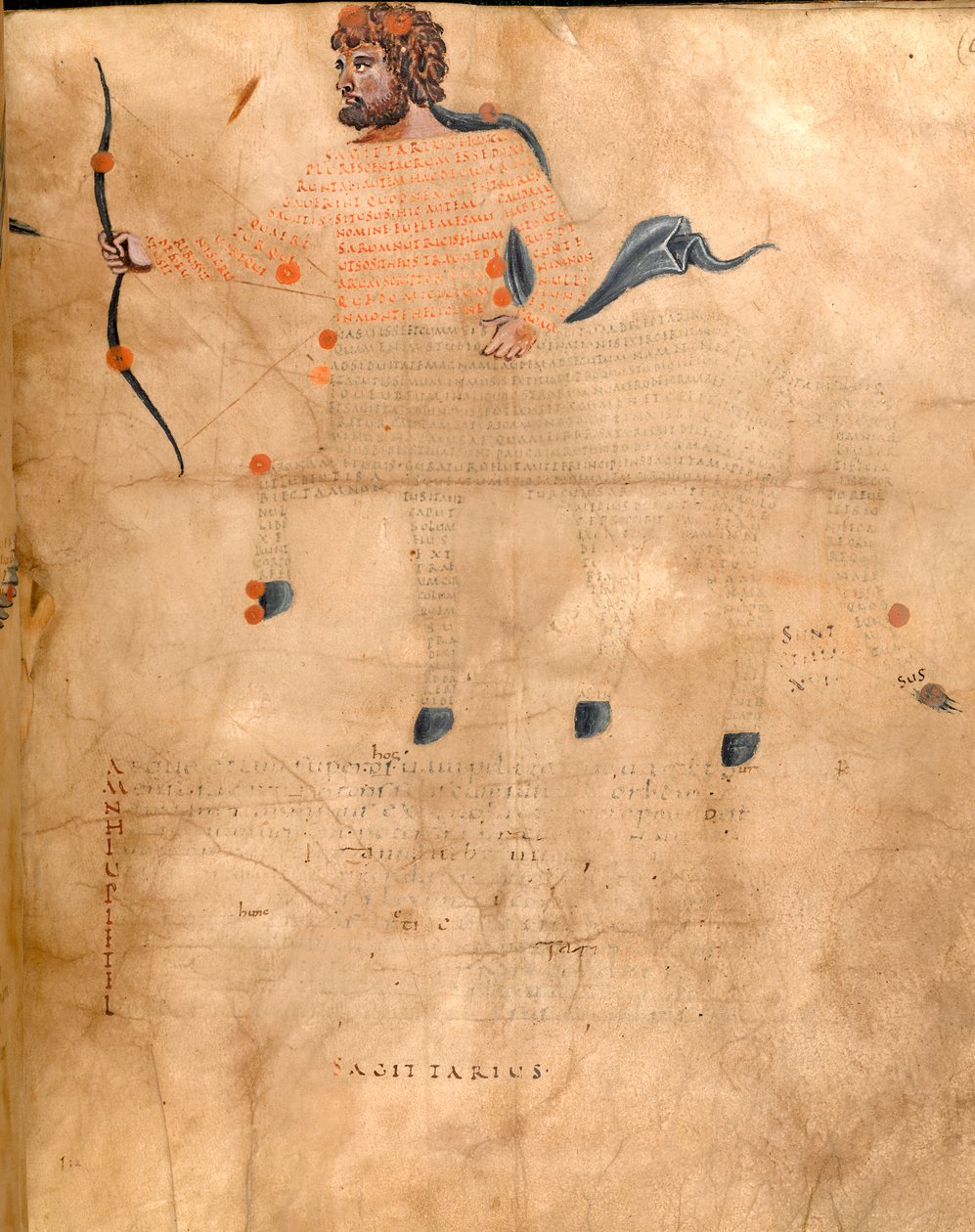 Harley 647, f.3v Kuva Jousimiehen tähdistöstä, Marcus Tillius Ciceron teoksesta "Harley Aratus", n. 1820-40 (vellum) tekijältä French School