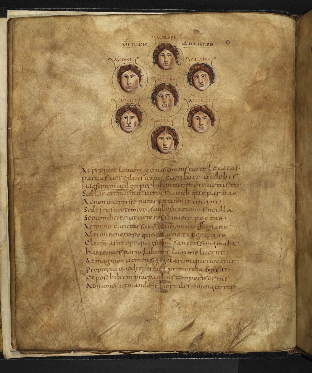 Harley 647, f.4v Kuva Plejadien, seitsemän sisaren kasvoista, jotka asuivat taivaalla tähtinä, ja heidän nimensä ympärillään, Marcus Tullius Ciceron (vellum) 