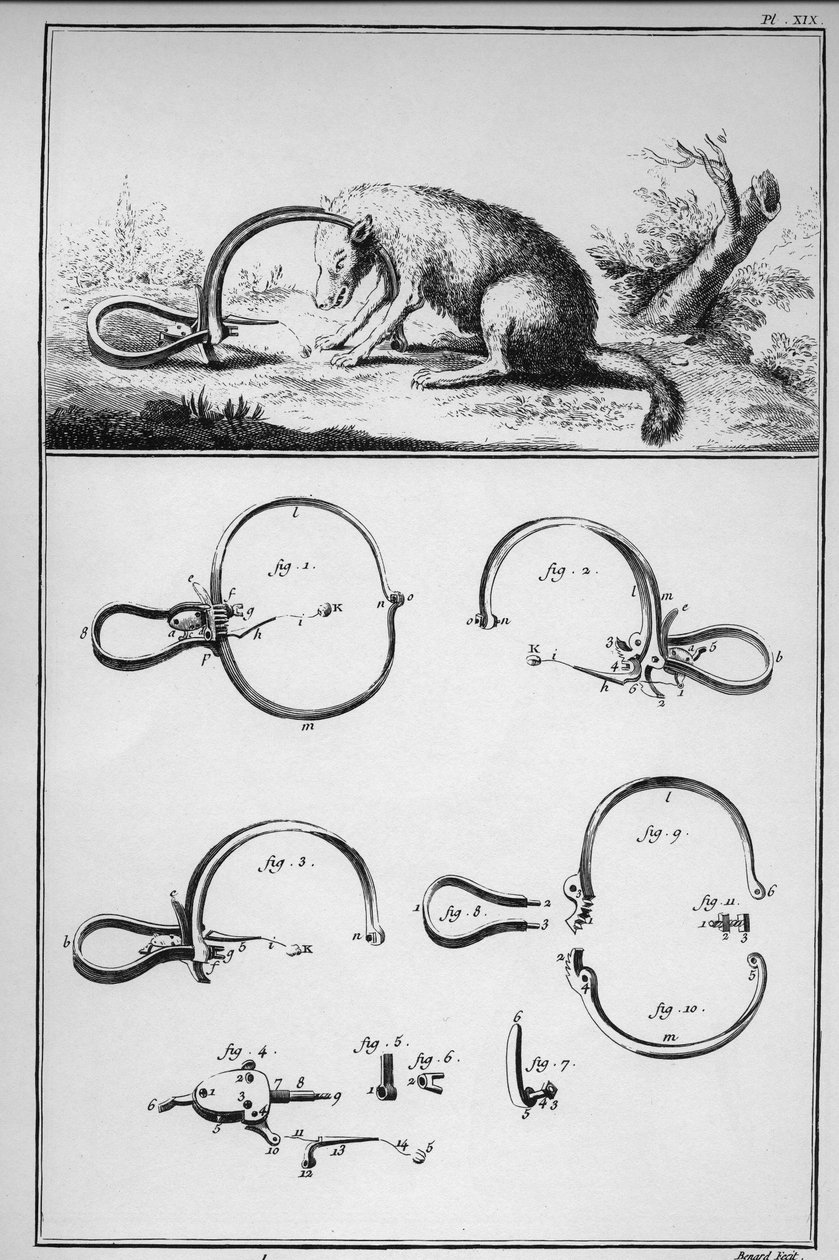 Metsästys - kettu pyydetty radalla (Piege) - "" The Great Encyclopedie, ou Dictionnaire Raisonne des Sciences, des Arts et des Metiers"" (Encyclopedia tai Dictionary of the Sciences, Arts and Professions), kirjoittanut Denis Diderot (1713-1784) ja Jean d