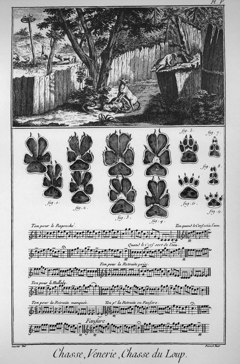 Metsästys sutta (eri tapoja tai ansoja susien sieppaamiseen) - "" The Great Encyclopedie, ou Dictionnaire Raisonne des Sciences, des Arts et des Metiers"" (Encyclopedia tai Dictionary of the Sciences, Arts and Professions), kirjoittanut Denis Diderot (1713 tekijältä French School