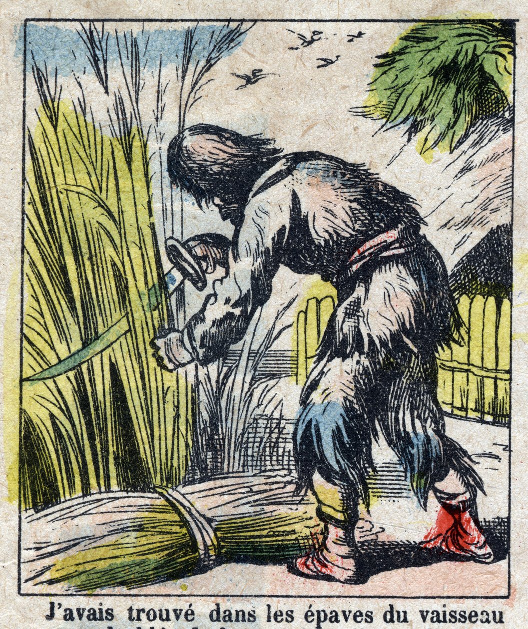 Kuvitus Daniel Defoen kirjaan (De foe) "" Robinson Crusoe"". Epinaalikuvaus 1800-luvun lopulta. tekijältä French School