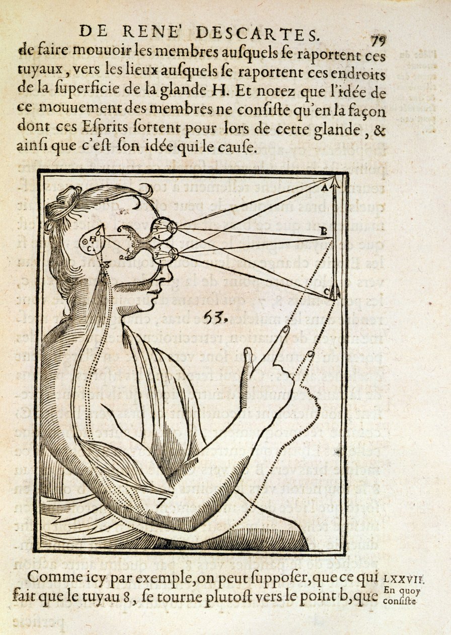 Kuvitus Rene Descartesin (1596-1650) De Homine Figuris -julkaisusta, julkaistu Haagissa, 1662 tekijältä French School