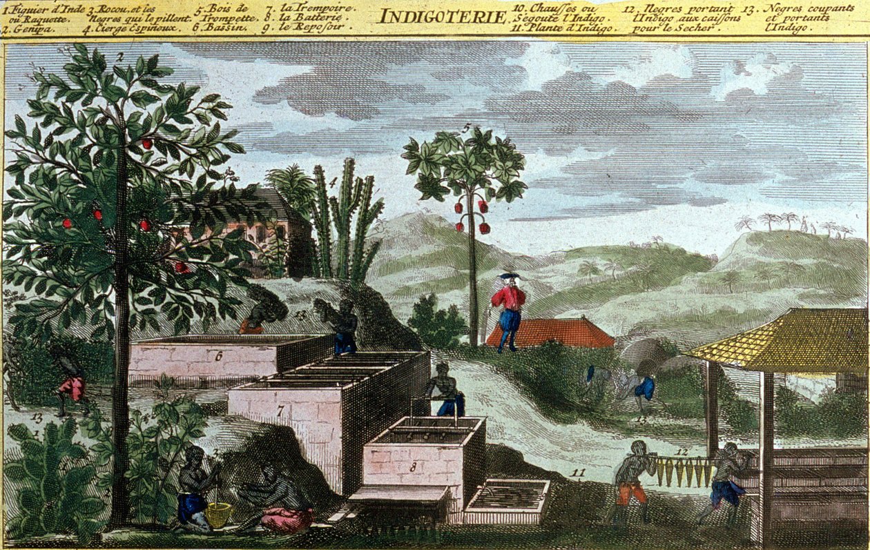 Indigoterie Länsi-Intiassa, yksityiskohta numerosta 00155 - julkaisussa "Antillien yleinen historia, jonka ranskalaiset asuttivat Du Tertre"", 1800-luvun alku tekijältä French School