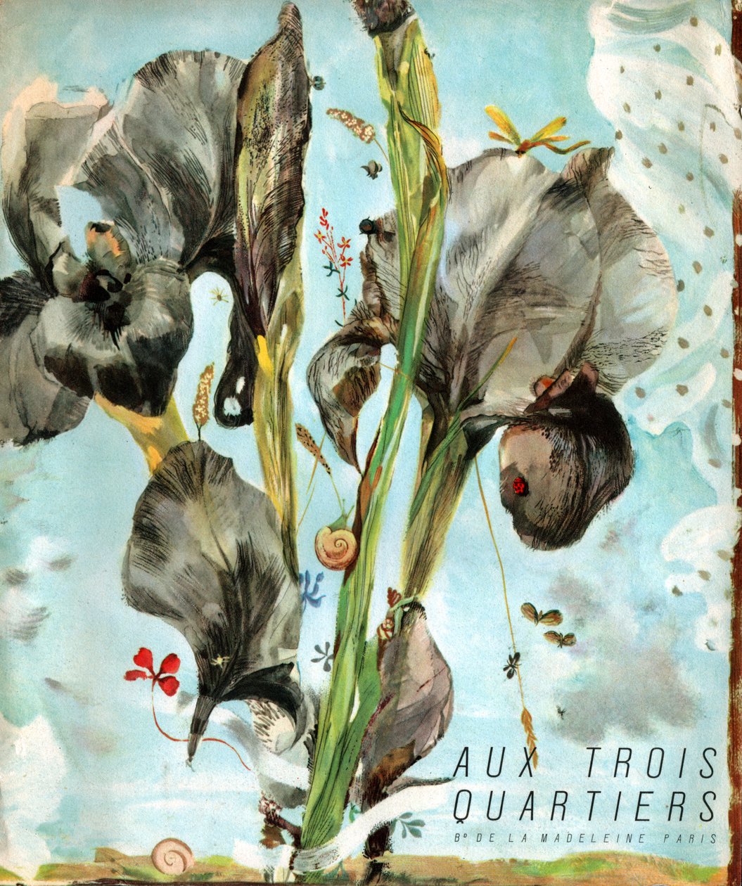 Iris (kukka). (Kuva, noin 1920) tekijältä French School