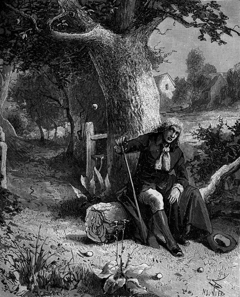 Isaac Newton (1642-1727), englantilainen matemaatikko ja tähtitieteilijä, löysi käsitteen maan painovoimasta Woolsthorpen omenapuusta putoavan omenan kautta. tekijältä French School