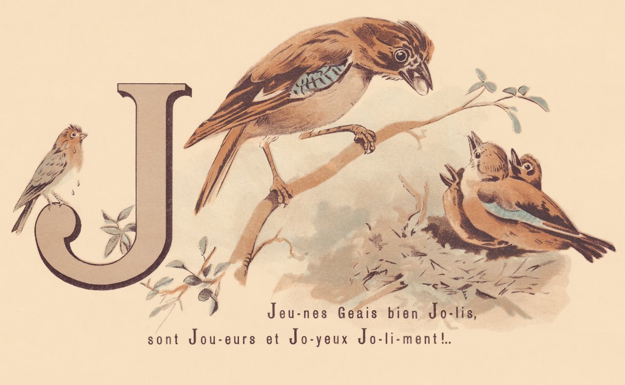 J: Young Jays Pretty ovat pelaajia ja onnellinen Jolily! tekijältä French School