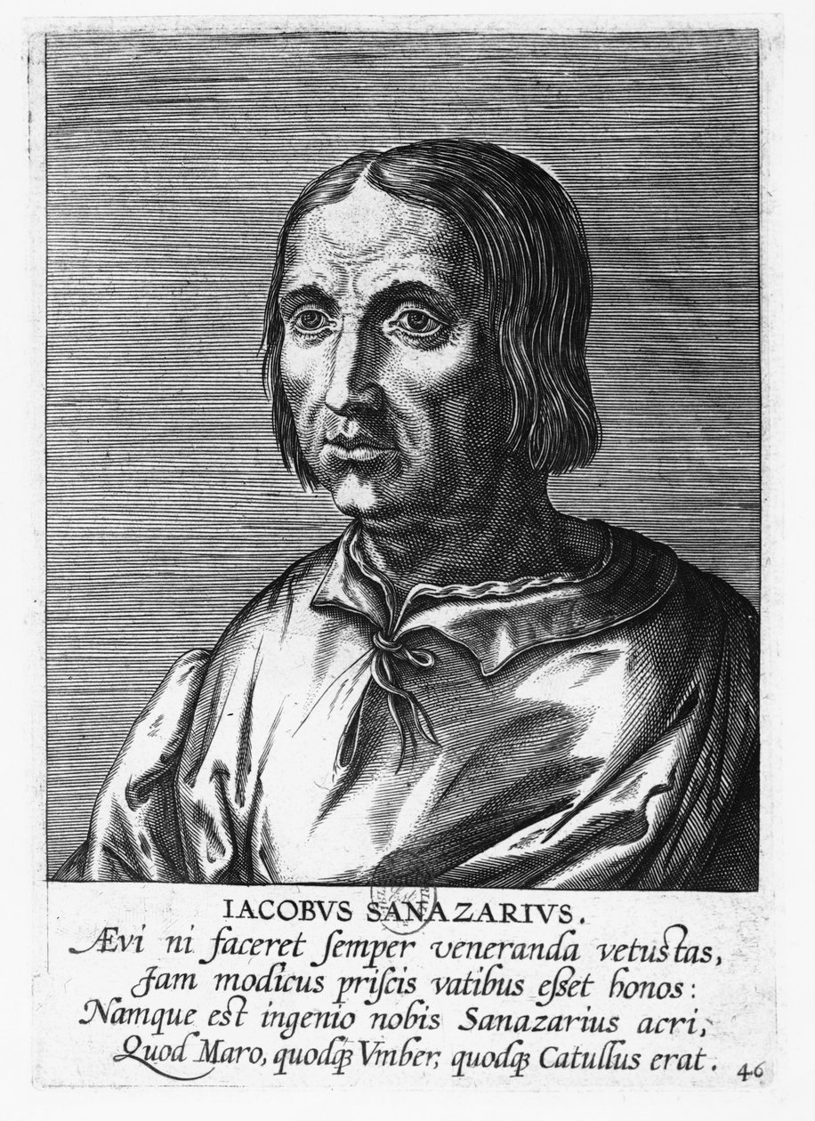 Jacopo Sannazaro (kaiverrus) tekijältä French School