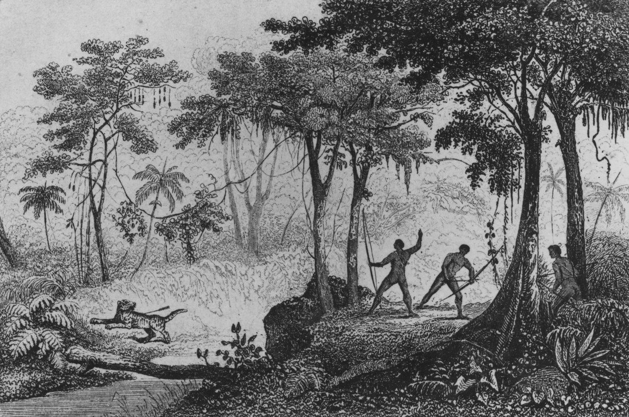 Jaguar Hunt, mula sa 