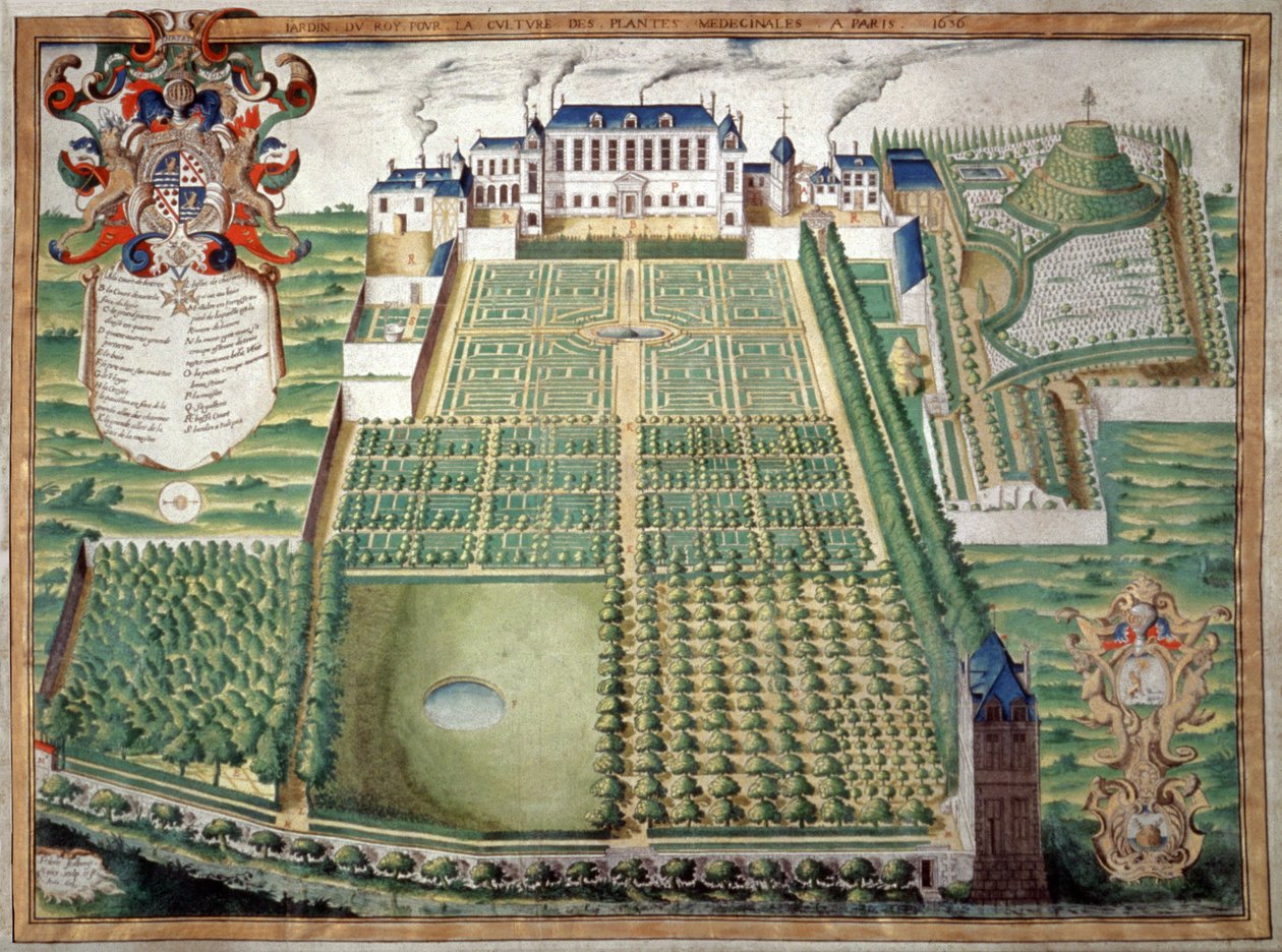 Jardin des Plantes, Pariisi. 1636 (akvarelli) tekijältä French School