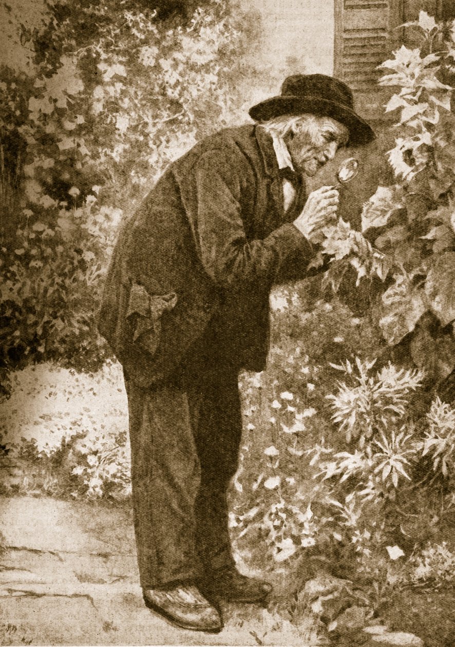 Jean-Henri Fabre tarkkailee hyönteisiä tekijältä French School