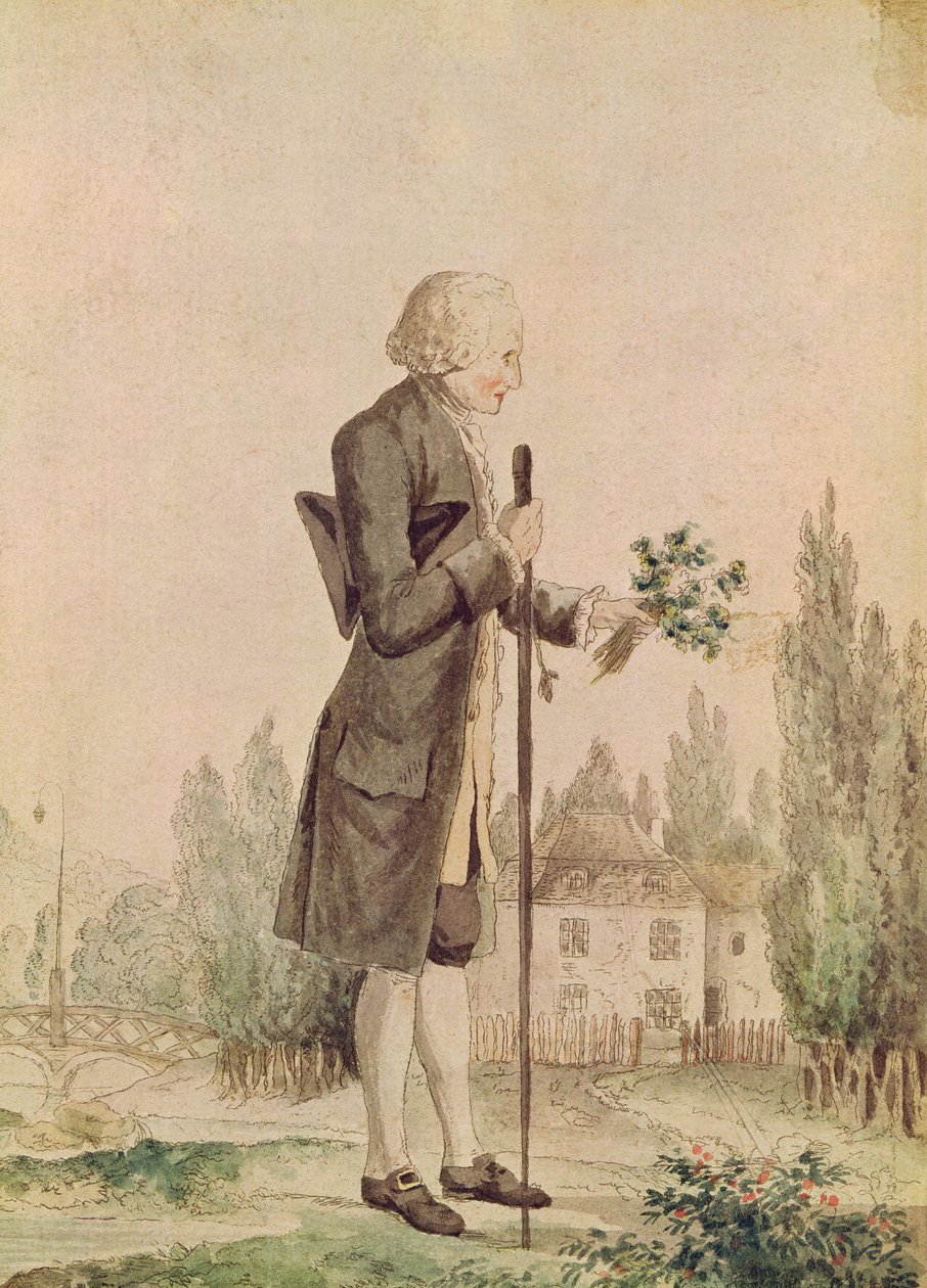 Jean-Jacques Rousseau (1712-78) Kerää yrttejä Ermenonvillessä tekijältä French School