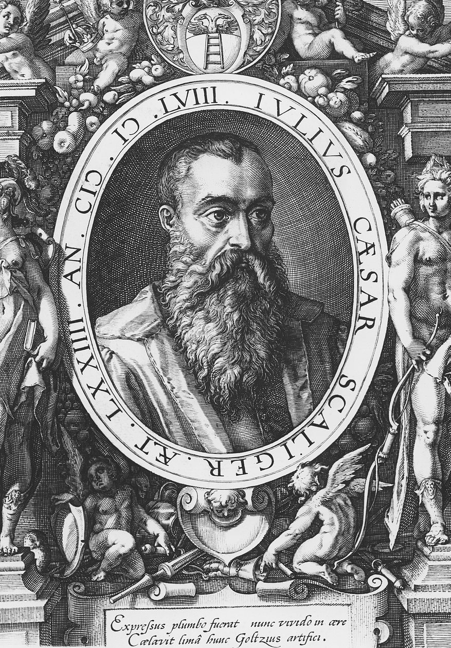 Julius Caesar Scaliger (kaiverrus) tekijältä French School