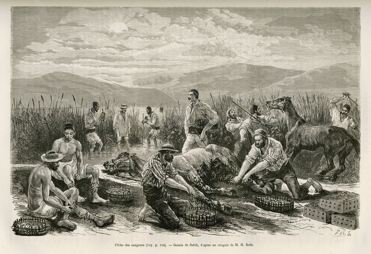 Sahibin piirtämä The Fishing of the Leeches havainnollistamaan Henry Bellen tarinaa: Matkailu Kreikassa tekijältä French School