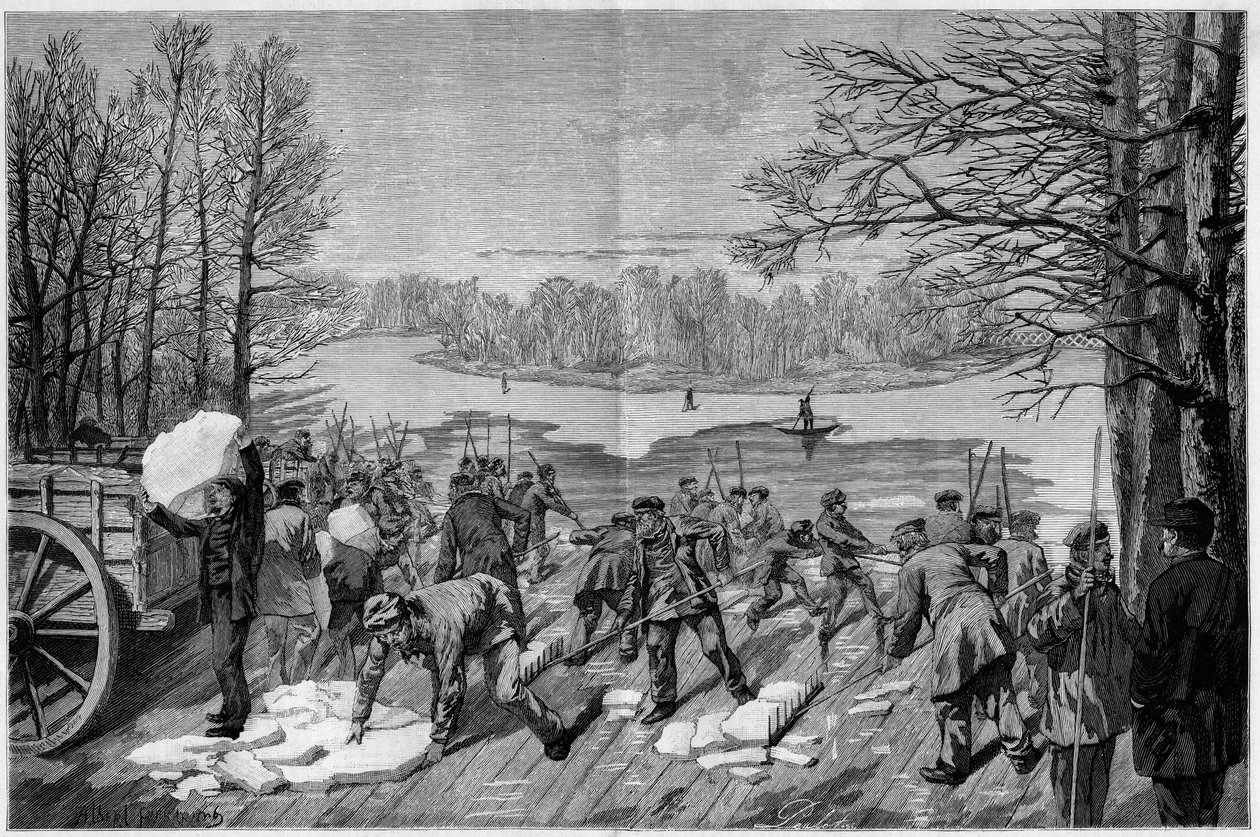 Jään kerääminen Bois de Vincennesin jäätyneiltä järviltä, ​​teoksessa The Illustrous World, 1887. tekijältä French School