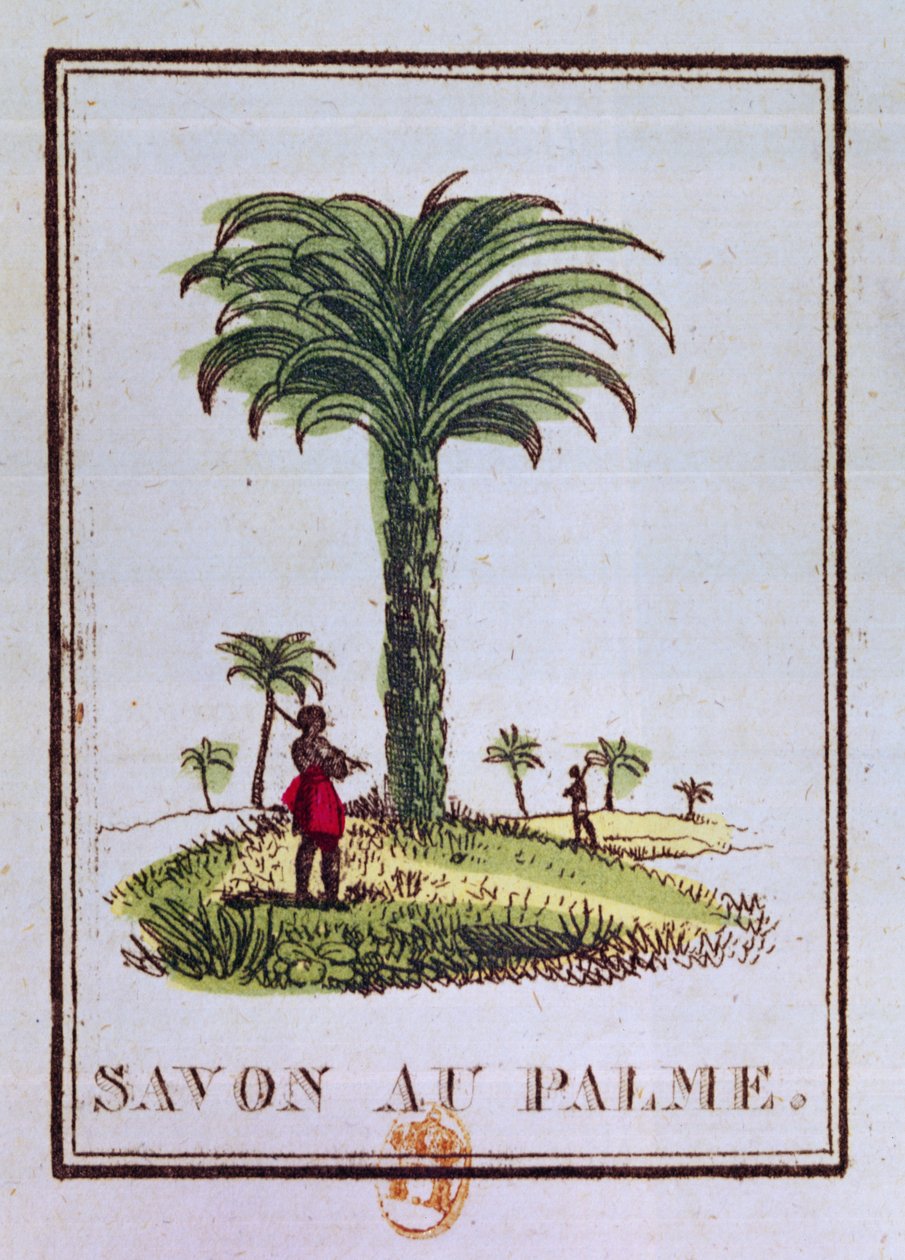 Palmuöljyn tuoksuisen saippuan etiketti, joka kuvaa palmua tekijältä French School