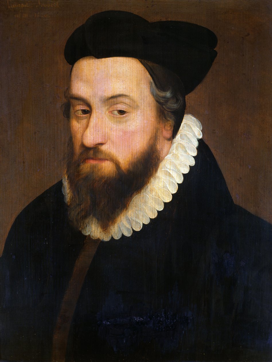 Laurent Joubert (1529-83) tekijältä French School