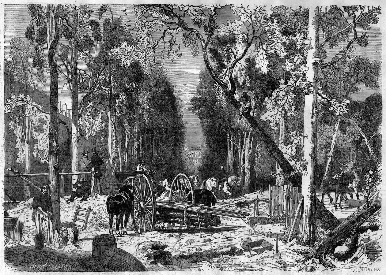 Le bucheron au jardin de Luxembourg Pariisissa 1870 - Kaiverrus vuodelta 1870 tekijältä French School