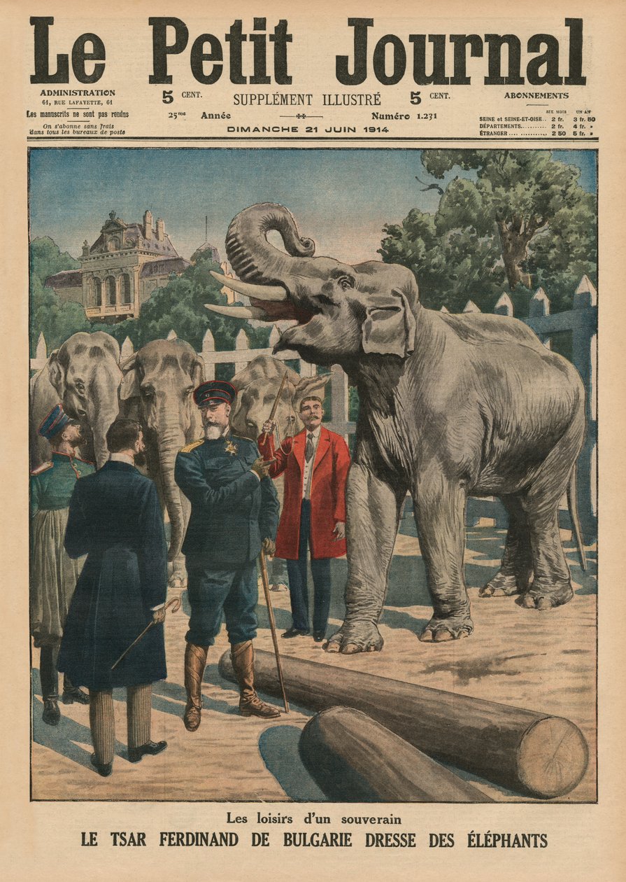 Hallituksen, bulgarialaisen tsaari Ferdinand I:n vapaa-aika kesyttää norsuja, etukannen kuvitus Le Petit Journalista, liitekuva, 21. kesäkuuta 1914 tekijältä French School