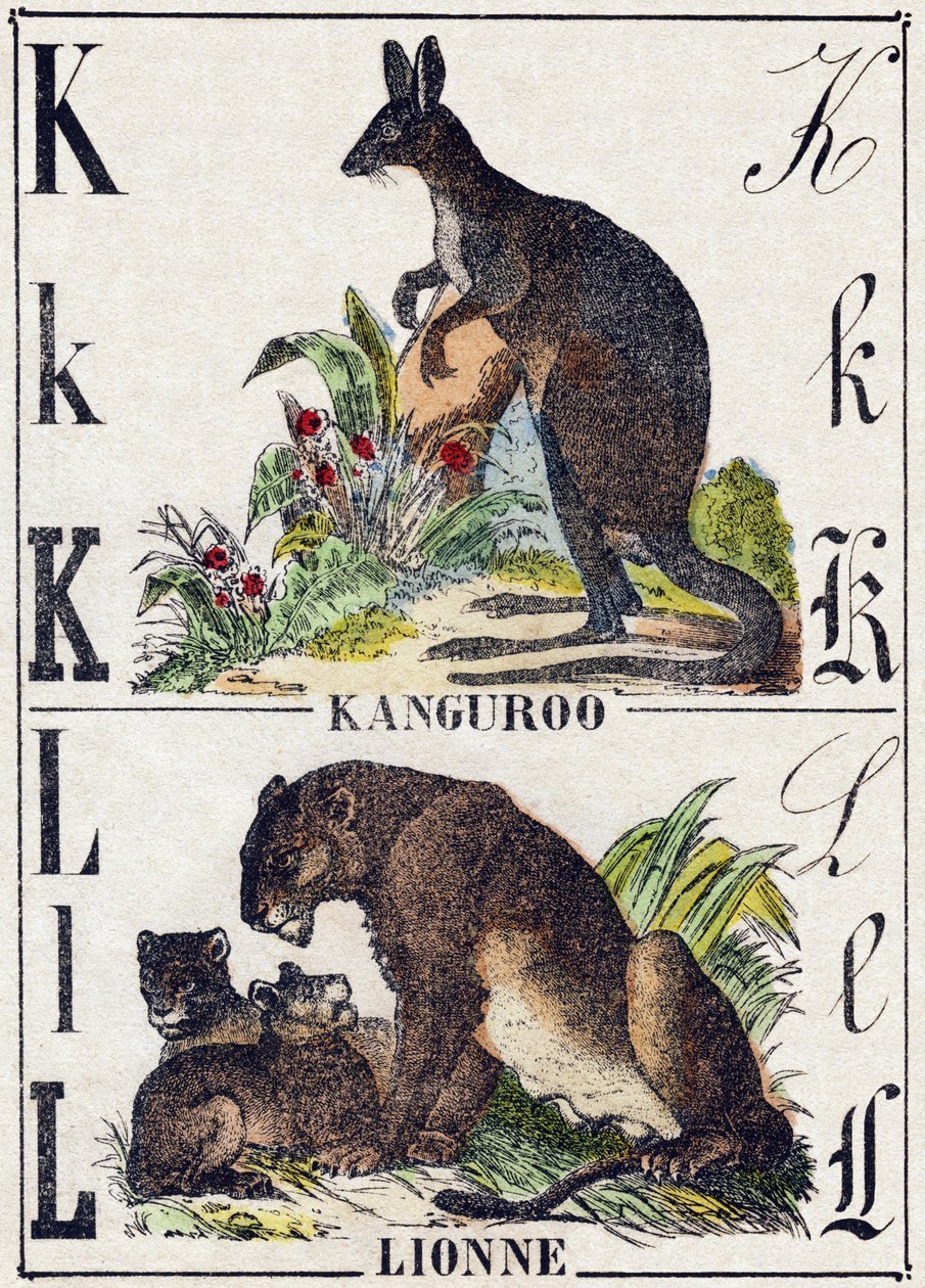 Kirjain K L; K Kanguroo; Leijona. Kaiverrus "Wild Animals Alphabet". 9. sarja. Kuvia Epinalista, Pellerin, kirjapaino-kustantaja, n. 1870. Kaiverrukset puuhun, stensiili. 16 sivua. Koko: 20 x 15 cm. Yksityinen kokoelma tekijältä French School