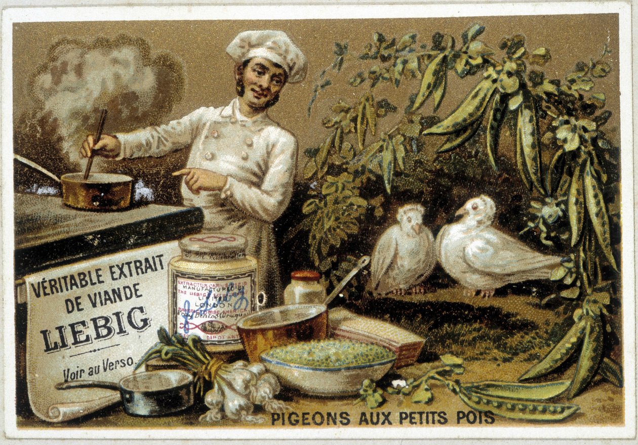 Liébig-reseptit: kyyhkyset herneillä - kromo. tekijältä French School