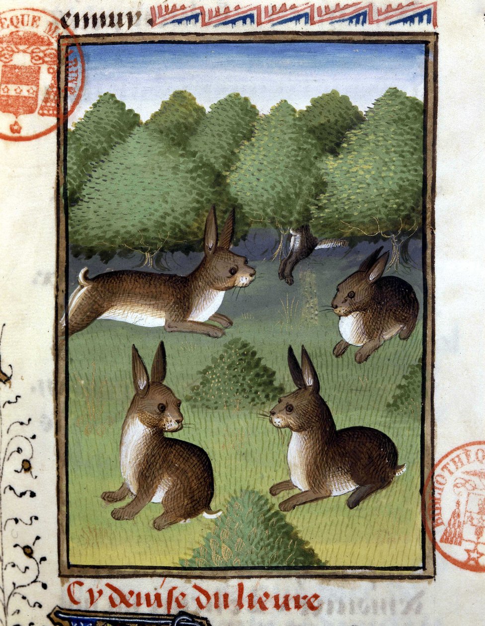 Lievres - "" Metsästyskirjassa Gaston Phoebus, Foixin kreivi, Lord of Bearn"" tekijältä French School