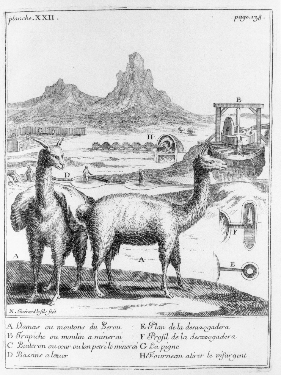 Laamat ja kaaviot mineraalien louhinnasta, A. F. Frezierin teoksesta Relation du voyage de la mer du sud aux cotes du Chily et du Perou, 1716 tekijältä French School