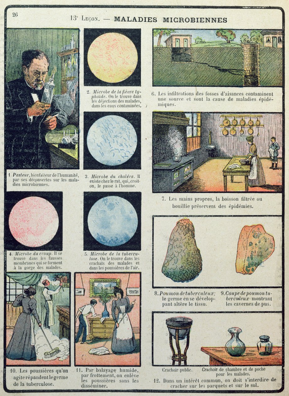 Louis Pasteur (1822-95) ja bakteeritaudit, Les Sciences Physiques et Naturelles, Pariisi, 1908 tekijältä French School