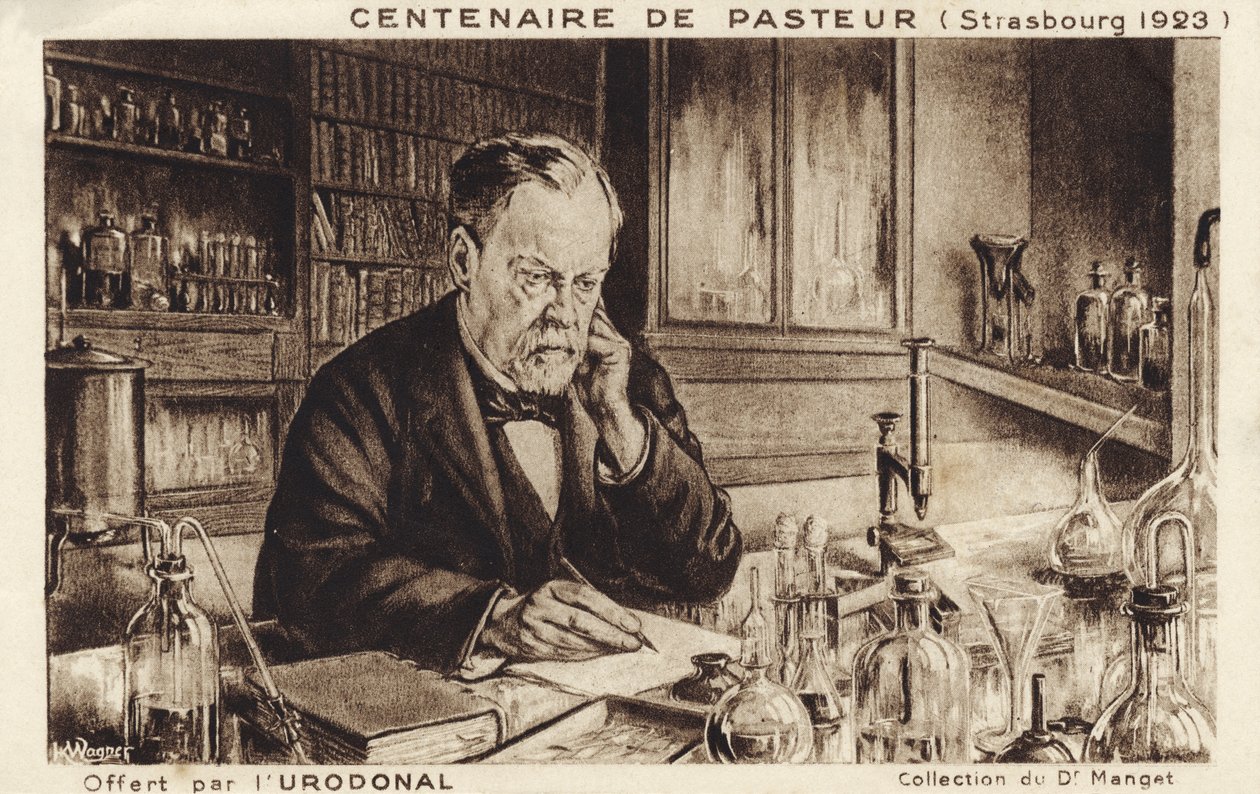 Louis Pasteur tekijältä French School
