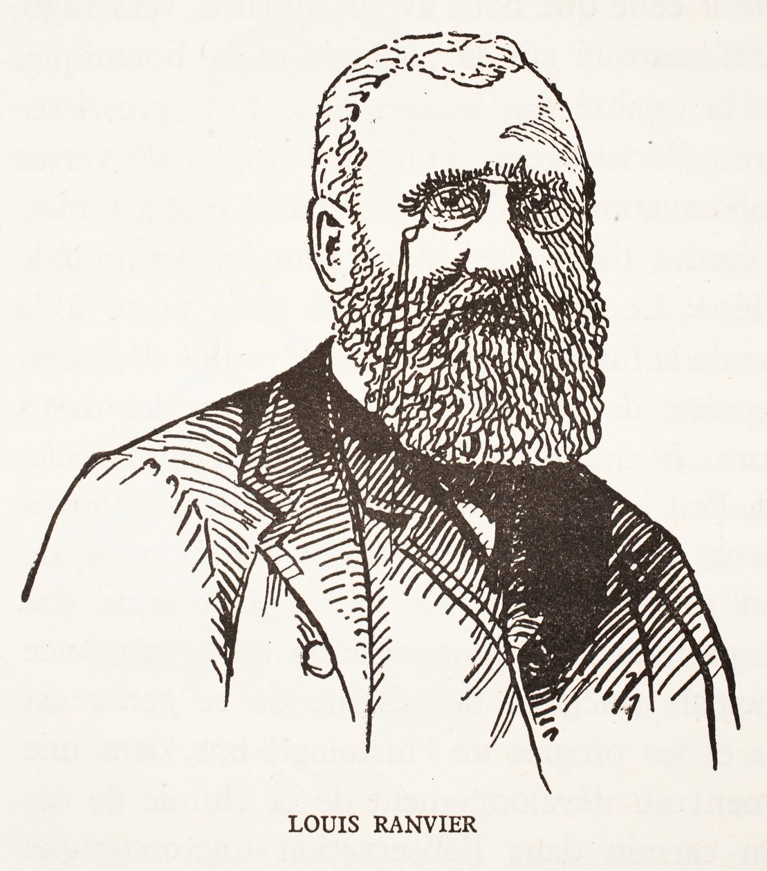 Louis Ranvier tekijältä French School