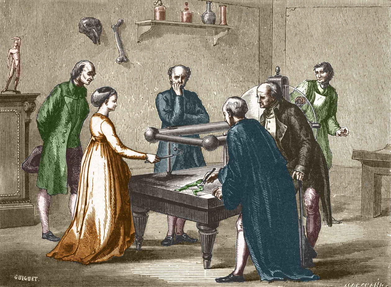 Luigi Galvani, professori Bolognasta, löysi vuonna 1780 sammakon lihasten ärtyisyyden sähkön vaikutuksesta - teoksessa "Album of Science; maineikkaat tiedemiehet; Suuria löytöjä””” 1896. tekijältä French School