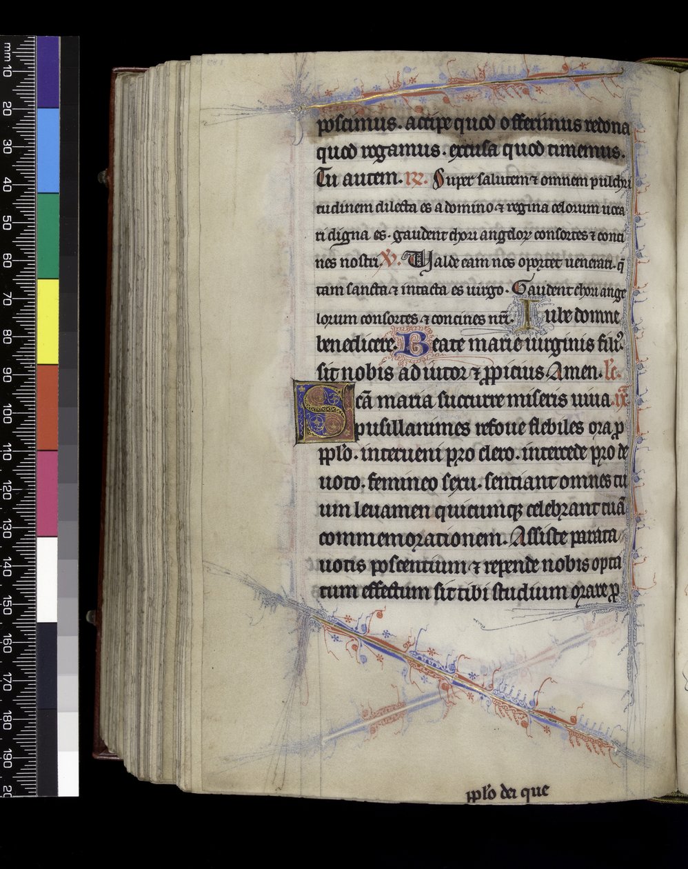 MS 300 f.189v, Matins, Psalter and Hours of Isabella of France, Paris, n. 1265-1270 tekijältä French School
