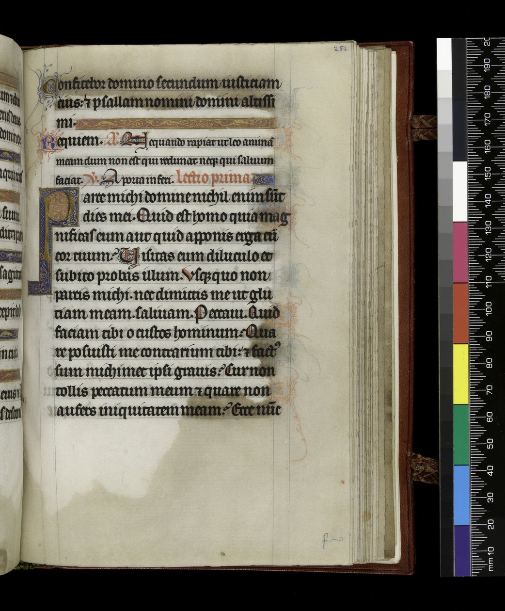 MS 300 f.251r, Psalter and Hours of Isabella of France, Paris, n. 1265-1270 (kynä & muste ja tempera pergamentilla) tekijältä French School