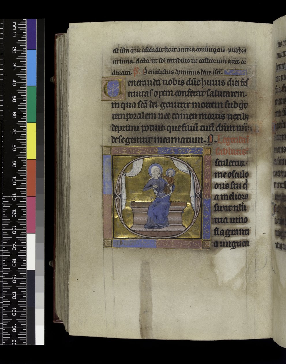 MS 300 f.284v, Song of Songs, Psalter and Hours of Isabella of France, Paris, n. 1265-70 (kynä & muste ja tempera pergamentilla) tekijältä French School
