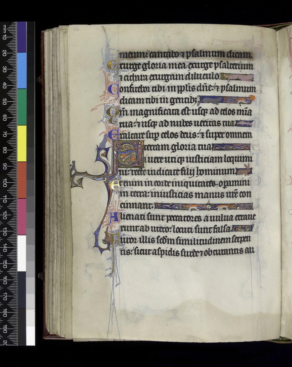 MS 300 f.61v, folio Psalterista ja Isabellan tunteista, Pariisi, n. 1265-1270 tekijältä French School