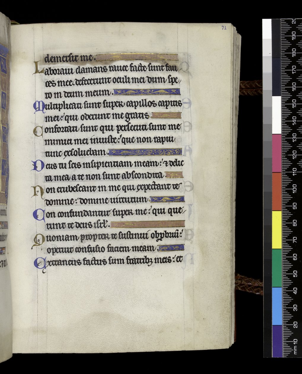 MS 300 f.71r, Psalter and Hours of Isabella of France, Paris, n. 1265-1270 (kynä & muste ja tempera pergamentilla) tekijältä French School