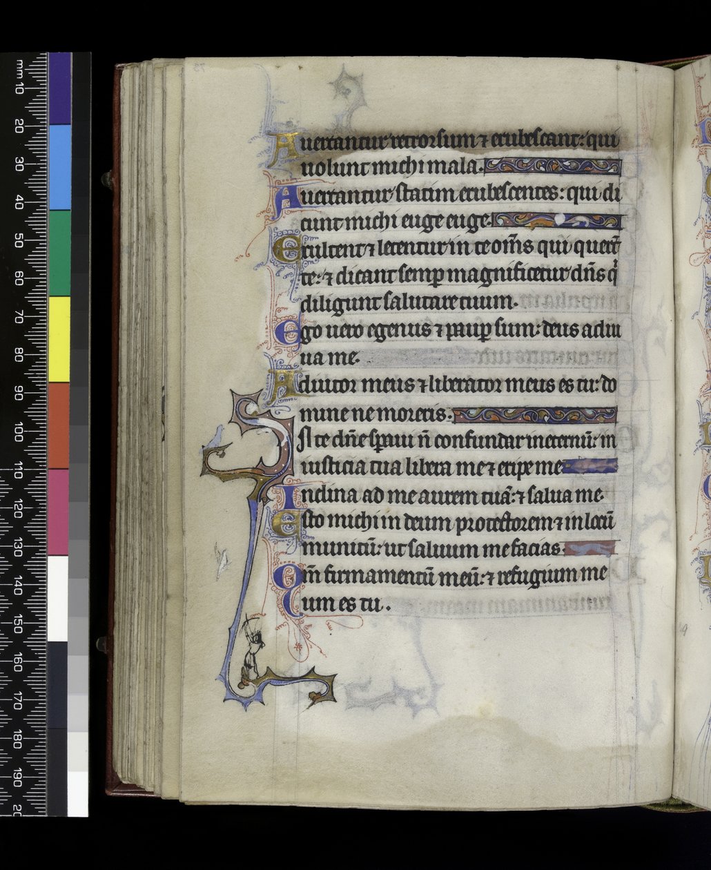 MS 300 f.73v, Psalter and Hours of Isabella of France, Paris, n. 1265-70 tekijältä French School