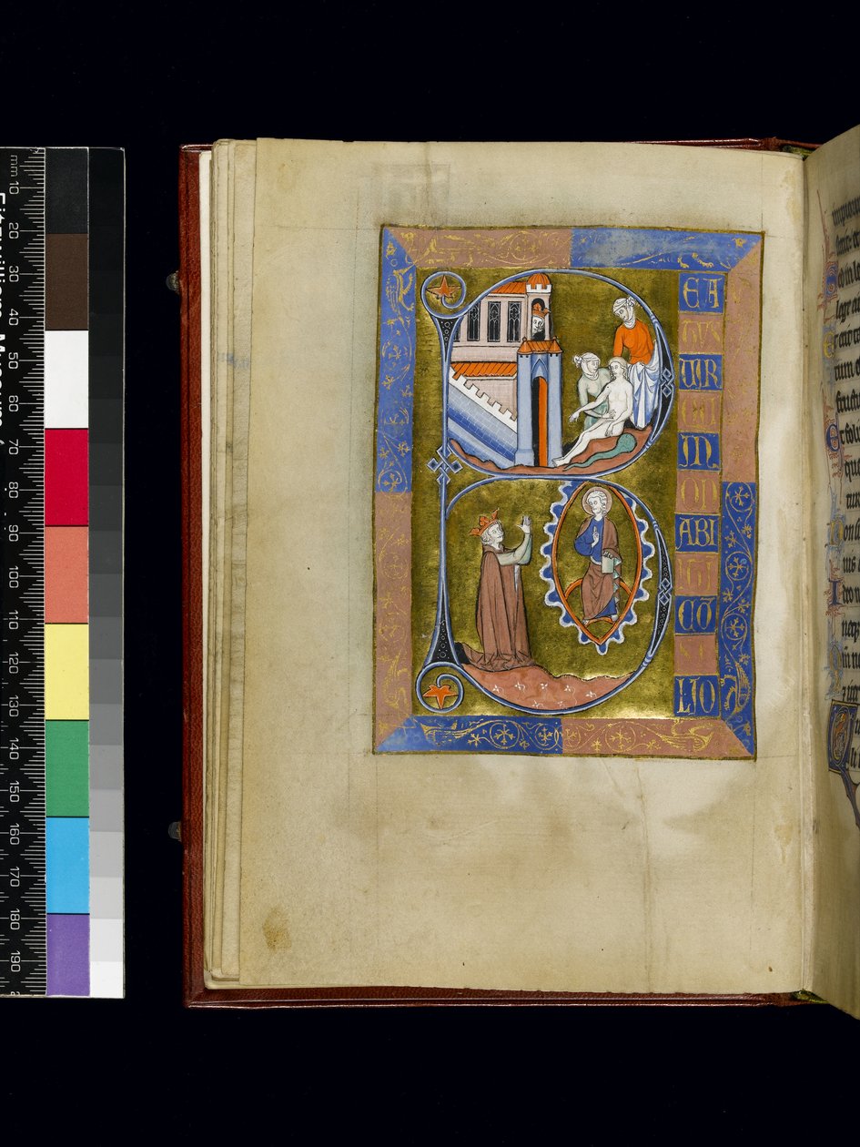 MS 300 f.XIII, folio Isabellan psalterista ja Hours of Francesta, Pariisi, n. 1265-1270 (kynä ja muste ja tempera pergamentilla) tekijältä French School