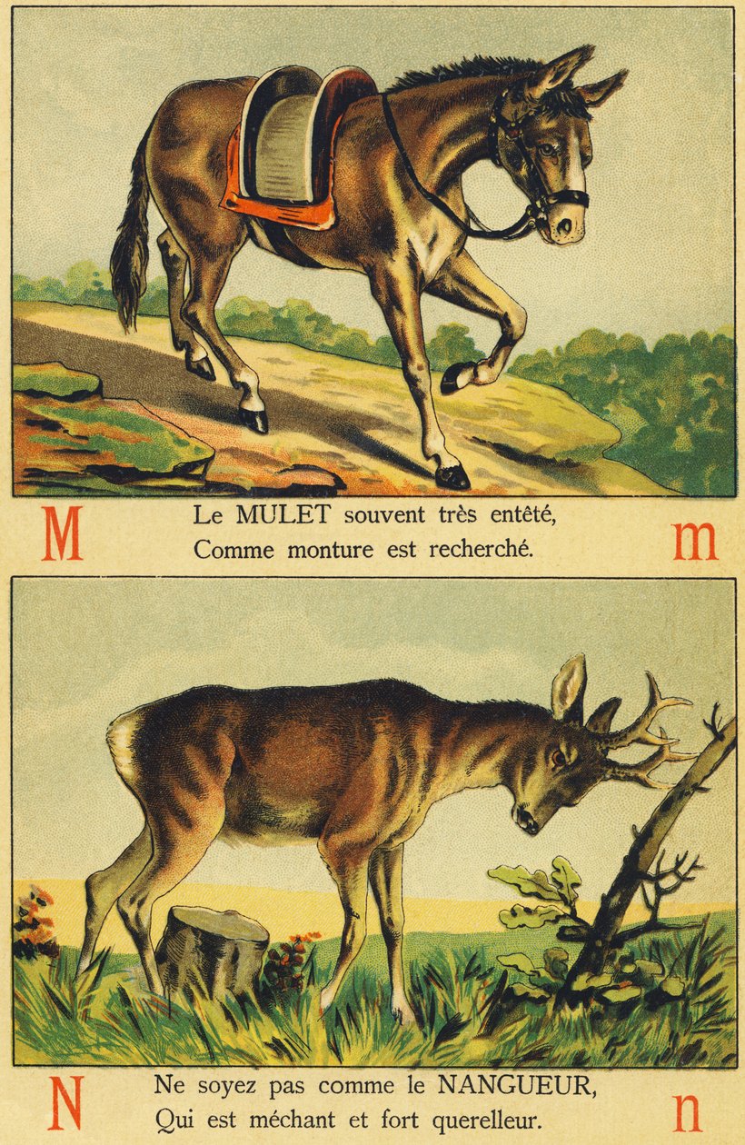 M Muletina ja N Nangueurina tekijältä French School