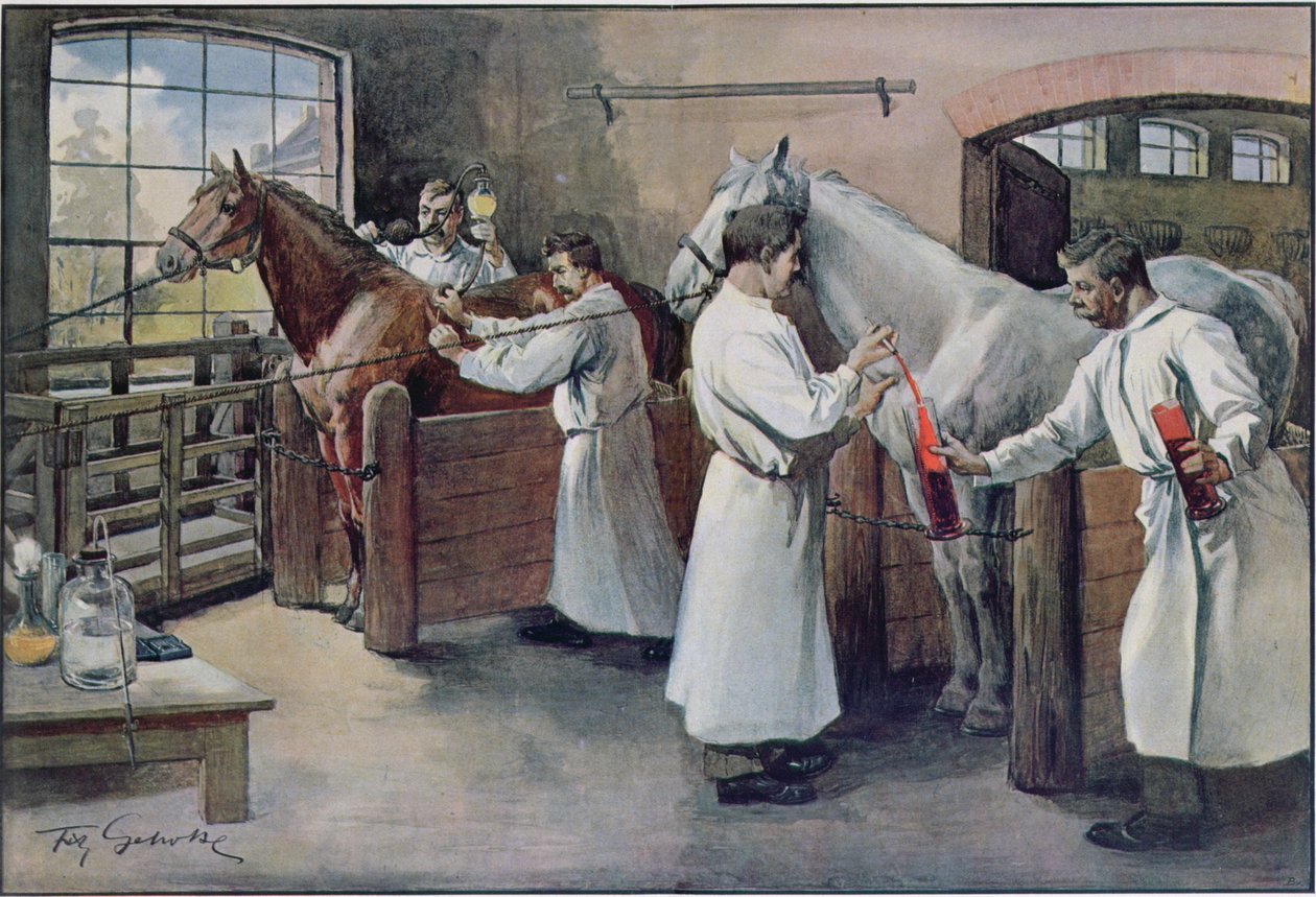 Kurkkumätäseerumin valmistus hevosen verestä, Les Animaux, n. 1900 tekijältä French School