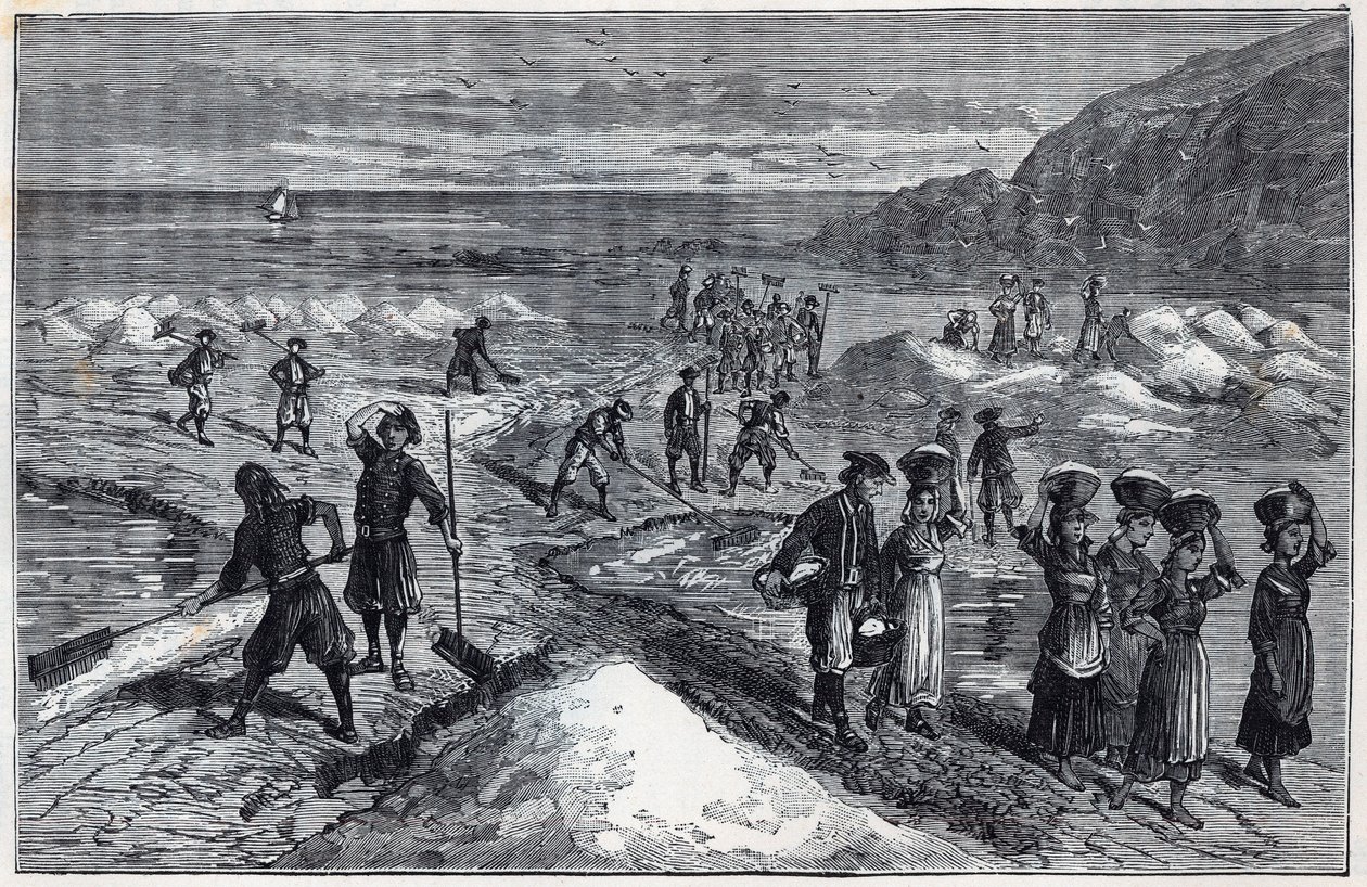 Marais salants de Bretagne 1800-luvulla - Alexis Clercin kaiverrus tekstiin "Tieteet, joita apurahoille tuotu - fysiikka ja kemia" - 1800-luvun loppu - Yksityinen kokoelma tekijältä French School