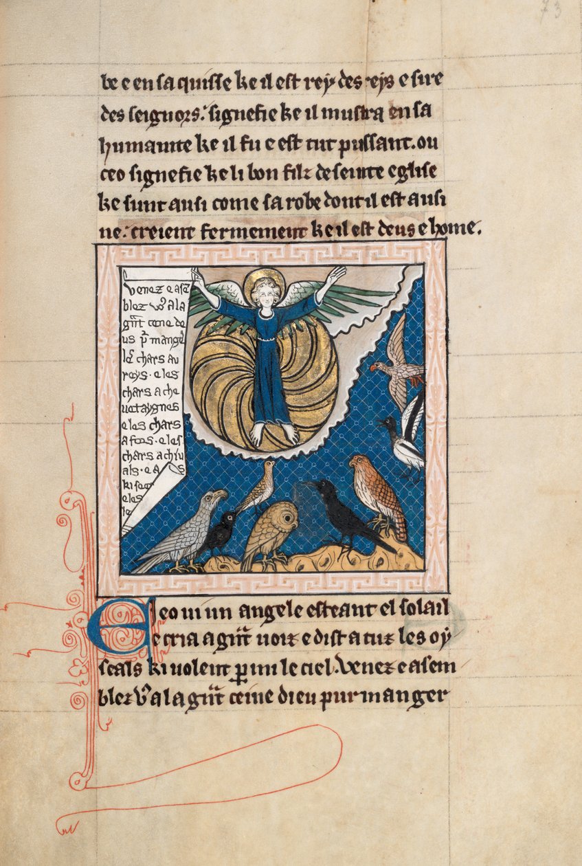 Ms65 f73r, Commentary on the Apocalypse of St John, 1200-luvun loppu (kynä ja muste ja tempera perunakalvolla) tekijältä French School