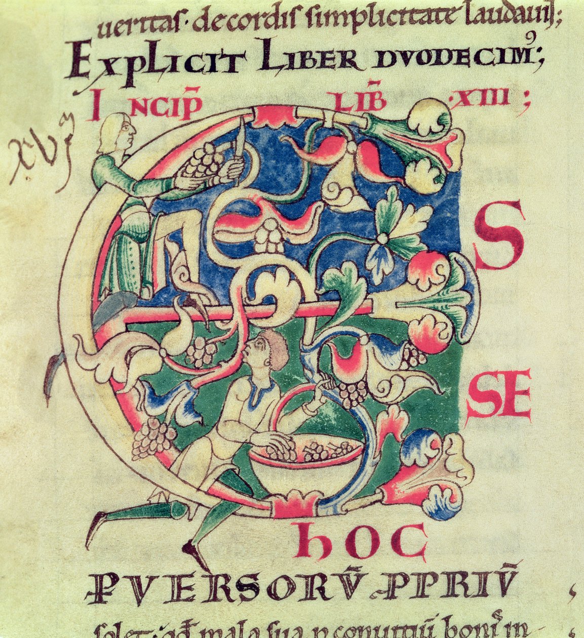 Ms 173 f.32 Historioitu alkukirjain E, joka kuvaa rypäleen satoa, Moralia in Job, paavi Gregorius Suuren tekijältä French School