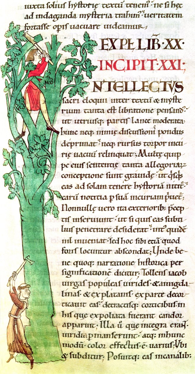 Ms 173 f.41 Historioitu alkukirjain I, joka kuvaa munkkia ja maallikkoa hakkaamassa ja karsimassa puuta. Paavi Gregorius Suuren Moralia in Job tekijältä French School