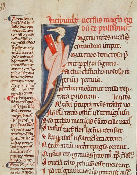 Ms 2046 fol.438 Lintu pitelee Gilles de Corbeilin (1165-1222) kirjaa Hippokrateen "Aforismeista" (n. 460 - n. 377 eKr.) ja Claudius Galenuksen (n. 130 - n. 201) kommentit (silopaperi) tekijältä French School