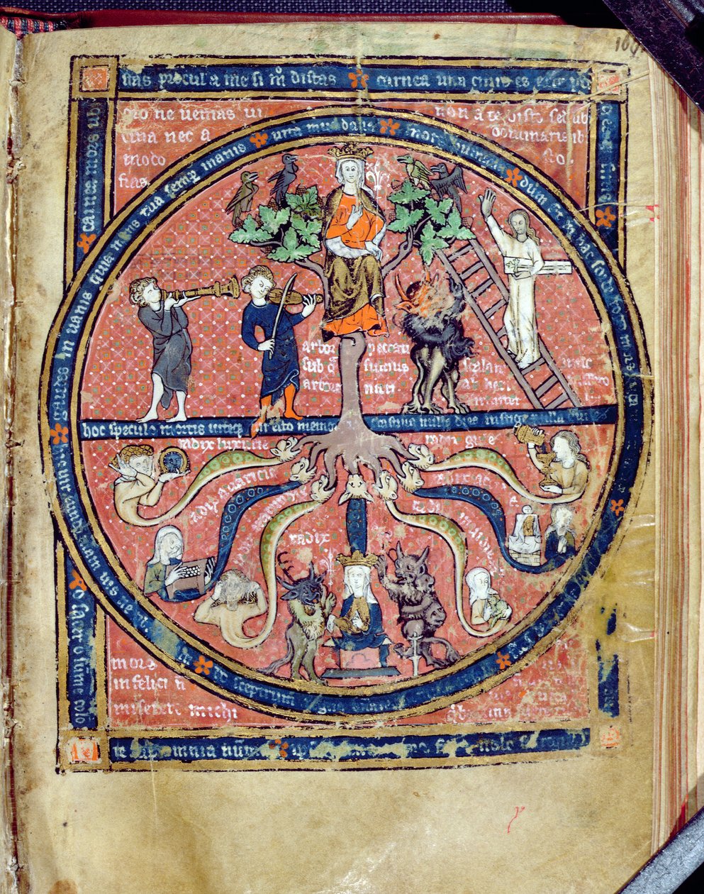 Ms 2200 allegorinen puu, Guillaume de Conchesin teoksesta De Philosophia Mundi (1100-54) 1276-77 tekijältä French School