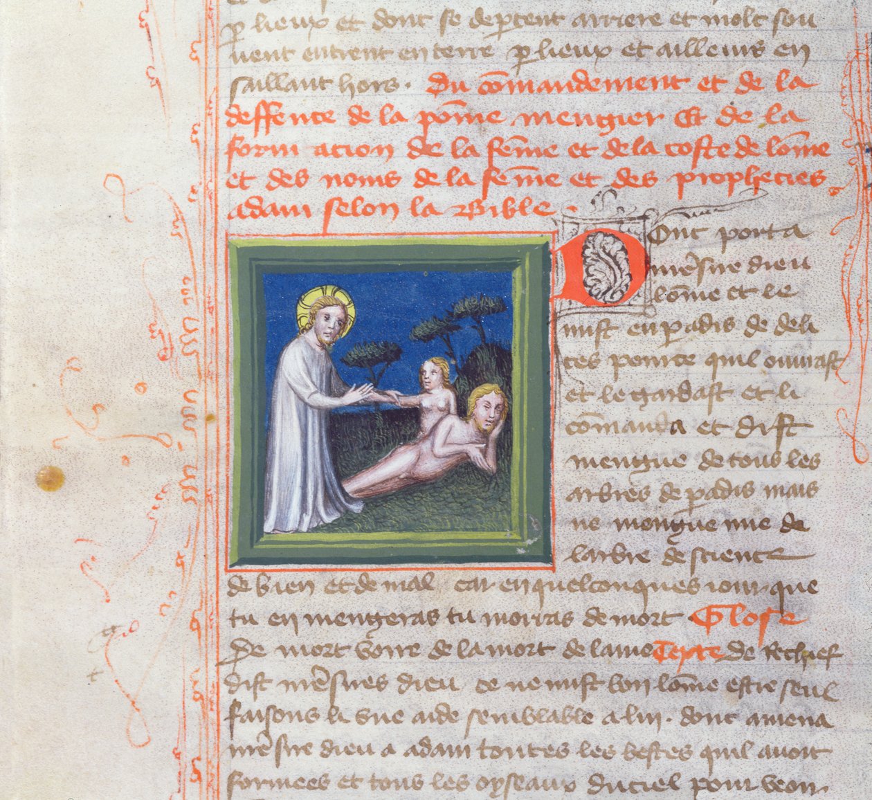 Ms 313 Eevan luominen, Bible des Grands Augustins, 1494 tekijältä French School
