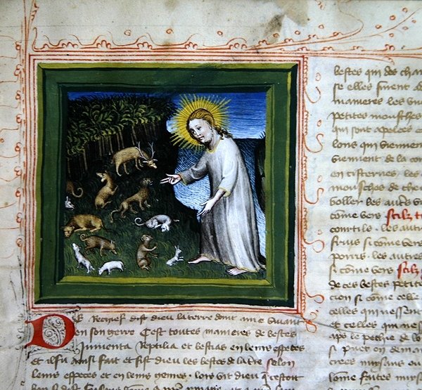 Ms 313 Creation of the Animals, Bible des Grands Augustinsista tekijältä French School